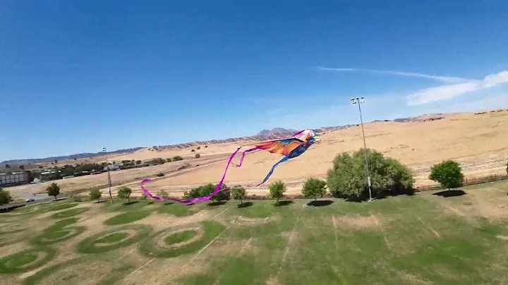 Shot with Betafpv Pavo 20 3S DJI O3 system.