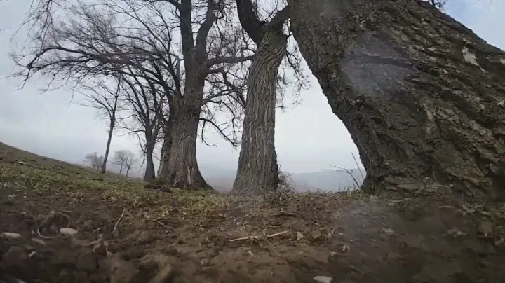 Training FPV slow. Dji O3 air unit dvr from goggles v2.