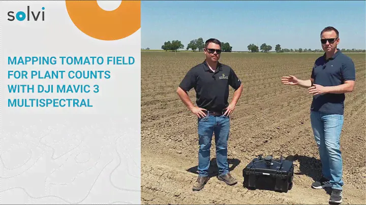 Mapping Tomato Field for Plant Counts with DJI Mavic 3 Multispectral
